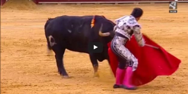 Imanol Sánchez triunfador de la "Corrida de la Oportunidad" en Teruel