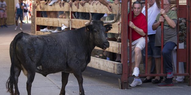 este-fin-de-semana-cubrimos-los-festejos-taurinos-populares-de-mallen