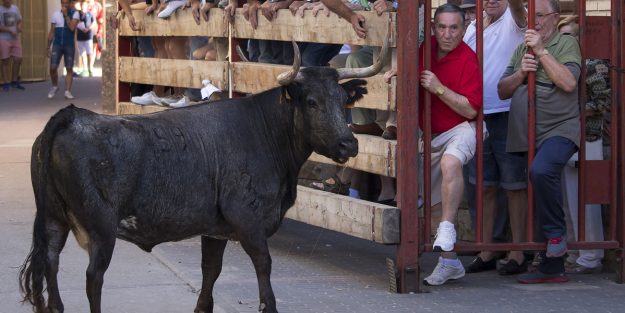 este-fin-de-semana-cubrimos-los-festejos-taurinos-populares-de-mallen
