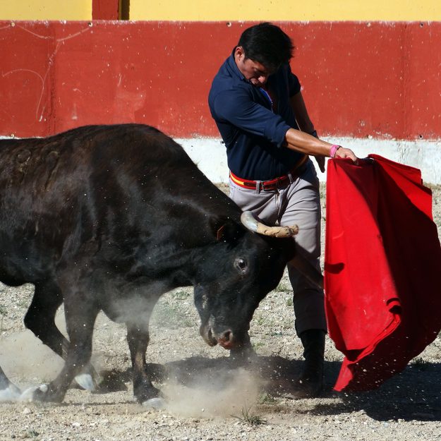 Tentadero Iñiguez 1