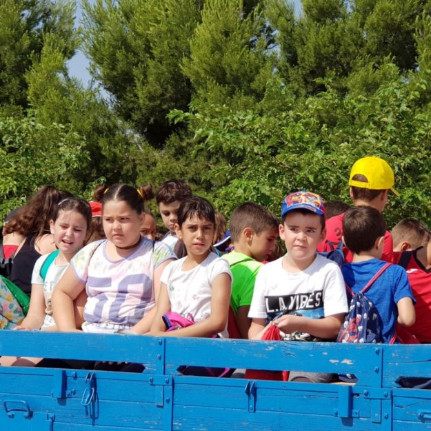 Imanol Sánchez acompaña a los niños a visitar una finca