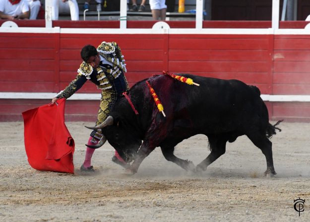 Imanol Sánchez Puerta grande Sangüesa (foto Carlos Pi) 8