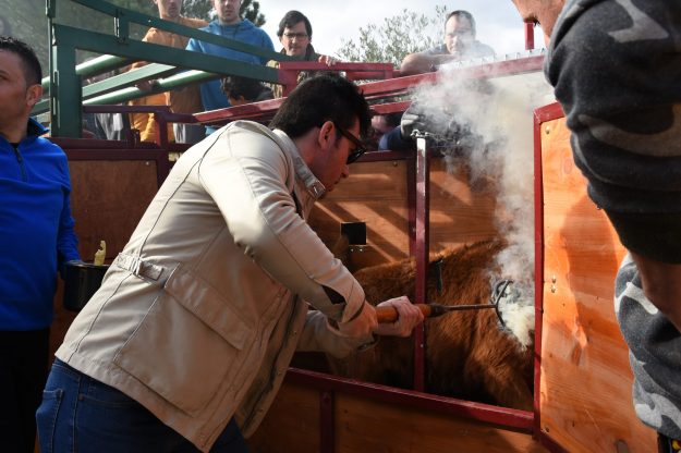 Imanol Sánchez herrando en José Daniel Guerrero
