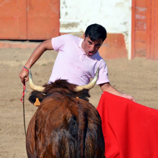 Colocación Arriazu Imano