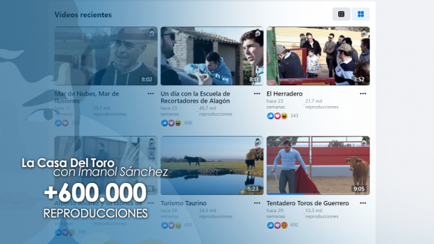 1280×720 Torole TV la casa del toro reproducciones