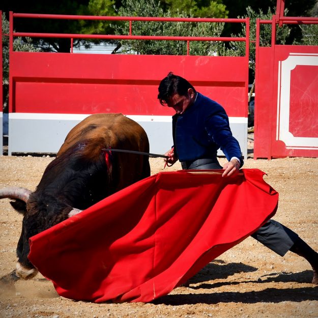Imanol Sánchez tentando un novillo de José Daniel Guerrero RED