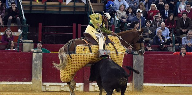 Picador en Zaragoza