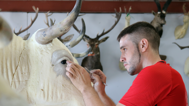 Promo Twitter La Casa del Toro Taxidermia Alhama sin logo