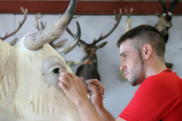 Promo Twitter La Casa del Toro Taxidermia Alhama sin logo