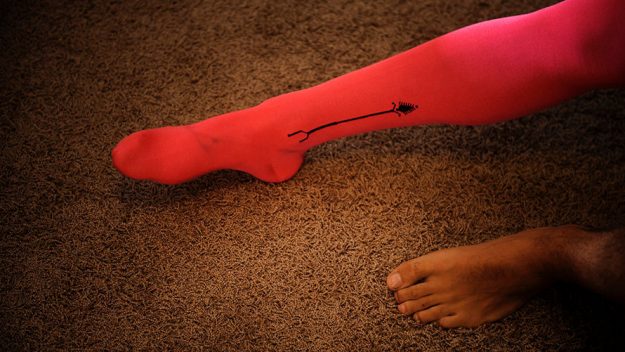 Significado espiga medias de torear