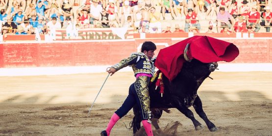 Pase-de-Pecho-Alcañiz-2014-Imanol-Sánchez-torero red
