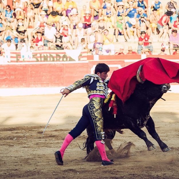 Pase-de-Pecho-Alcañiz-2014-Imanol-Sánchez-torero red