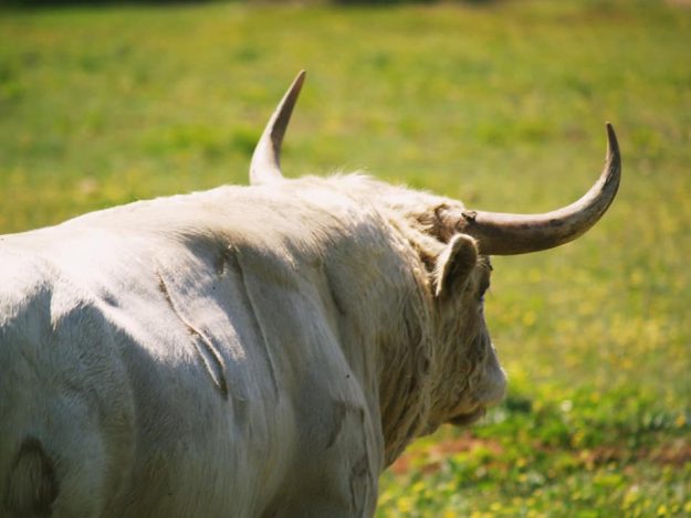 281148435_608908933930257_2920494266811929859_n