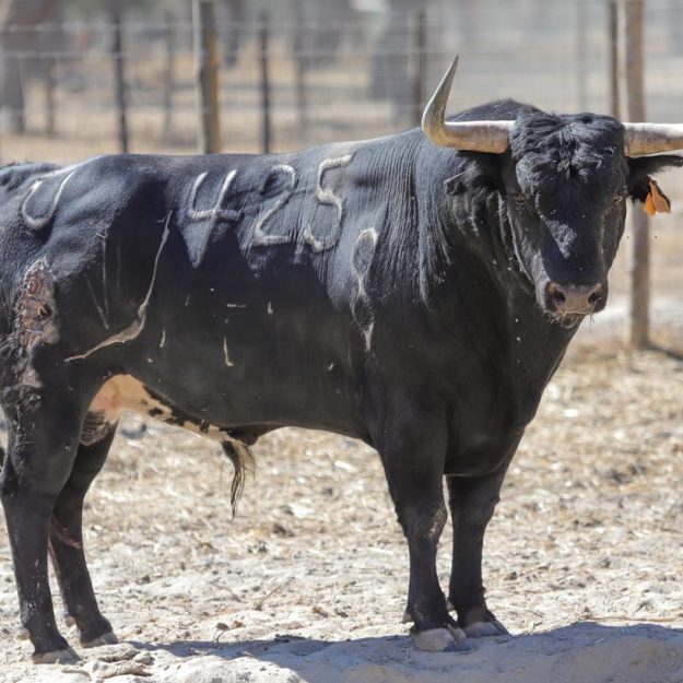 WhatsApp Image 2022-08-23 at 7.17.47 PM (3)