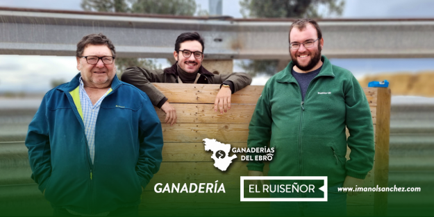 Formato Publicaciones Twitter Promos Ganaderías del Ebro PORTADA EL RUISEÑOR