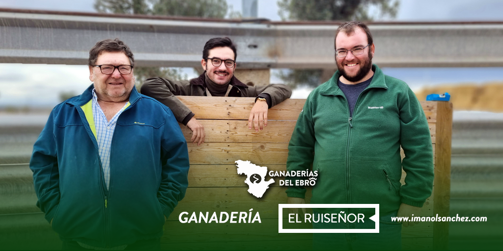 Formato Publicaciones Twitter Promos Ganaderías del Ebro PORTADA EL RUISEÑOR