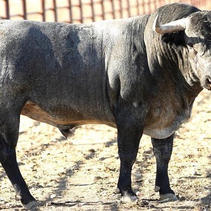 371961224_848827033474621_1859362306880155948_n