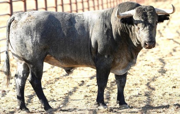 371961224_848827033474621_1859362306880155948_n