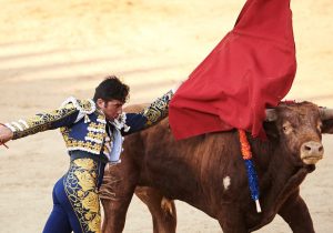 Imanol Sánchez con un Toro de Reta
