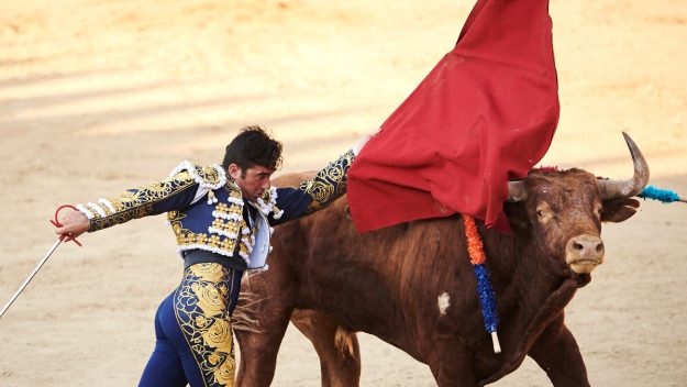 Imanol Sánchez con un Toro de Reta