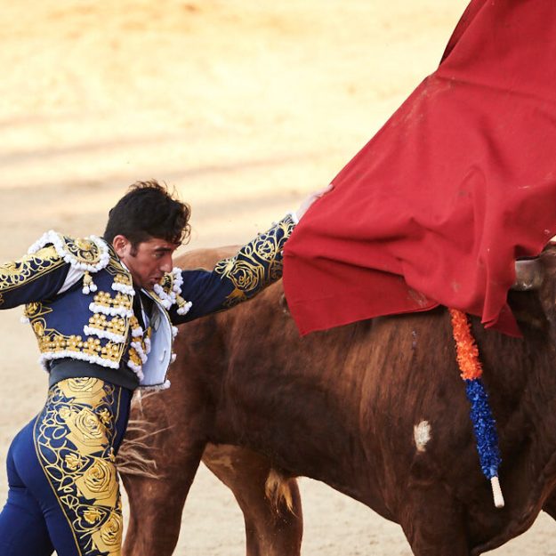 Imanol Sánchez con un Toro de Reta