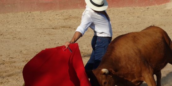 imanol-sanchez-tentadero-arriazu