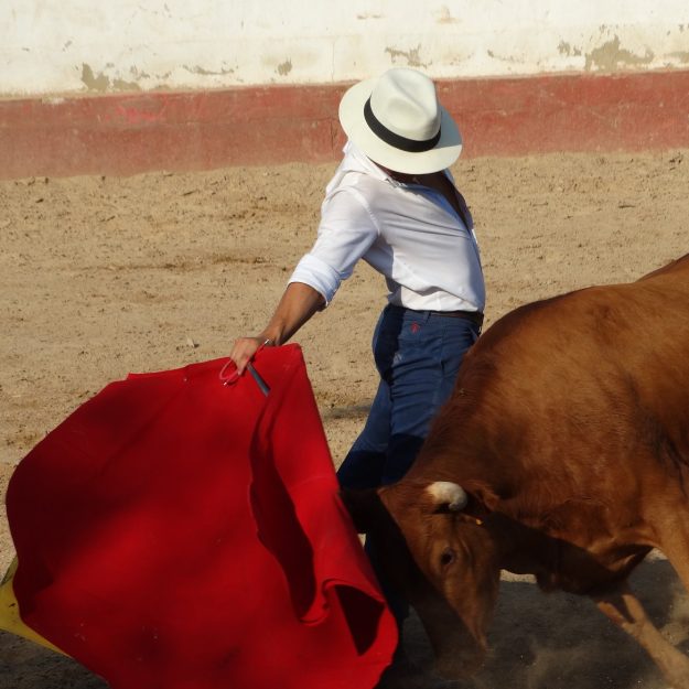 imanol-sanchez-tentadero-arriazu