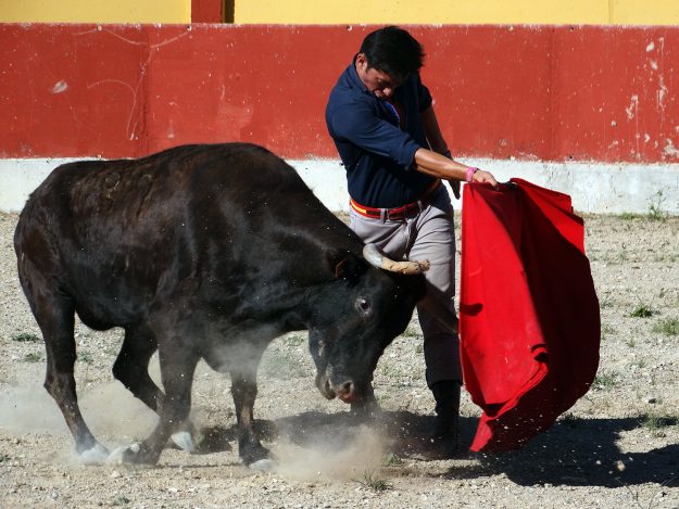 Tentadero Iñiguez 1