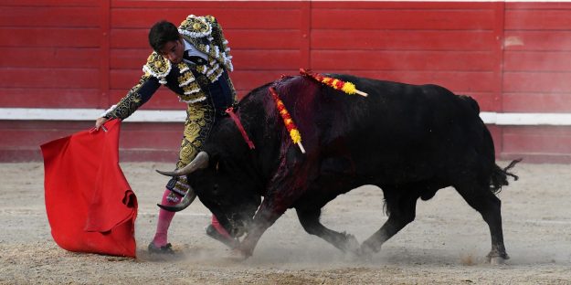 Imanol Sánchez Puerta grande Sangüesa (foto Carlos Pi) 8