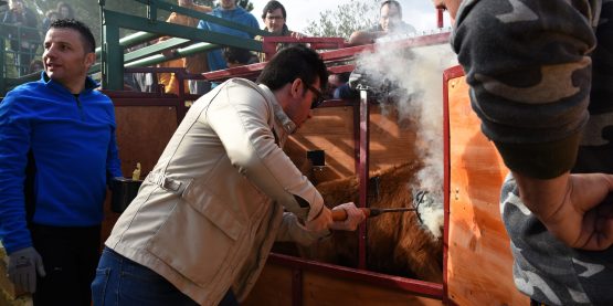 Imanol Sánchez herrando en José Daniel Guerrero