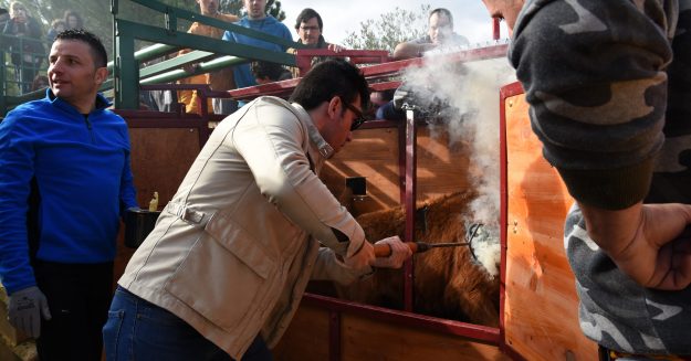 Imanol Sánchez herrando en José Daniel Guerrero
