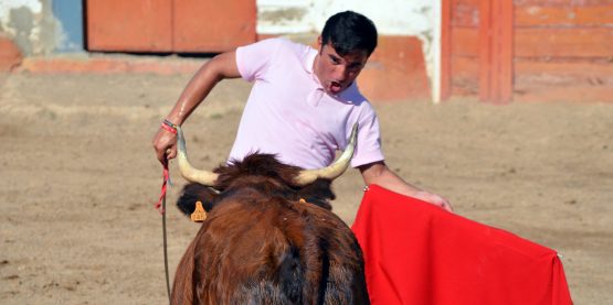 Colocación Arriazu Imano