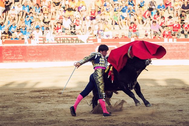 Pase-de-Pecho-Alcañiz-2014-Imanol-Sánchez-torero red