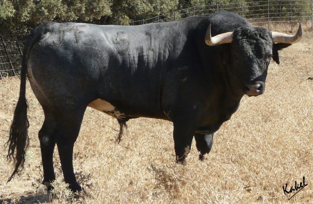 WhatsApp Image 2021-09-14 at 23.17.28 (4)