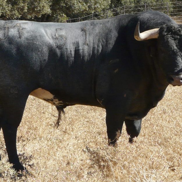 WhatsApp Image 2021-09-14 at 23.17.28 (4)