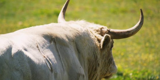 281148435_608908933930257_2920494266811929859_n