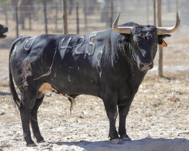 WhatsApp Image 2022-08-23 at 7.17.47 PM (3)