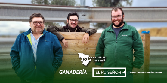 Formato Publicaciones Twitter Promos Ganaderías del Ebro PORTADA EL RUISEÑOR