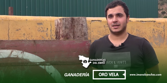 Formato Publicaciones Facebook Promos Ganaderías del Ebro Oro Vela