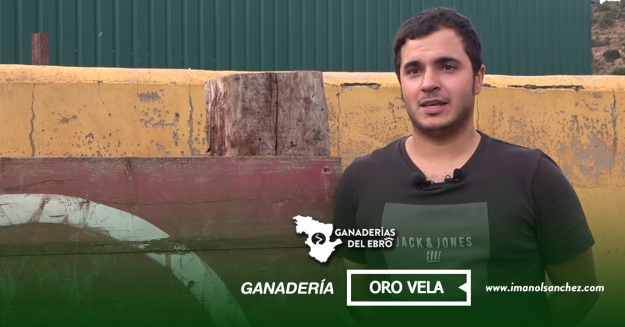 Formato Publicaciones Facebook Promos Ganaderías del Ebro Oro Vela