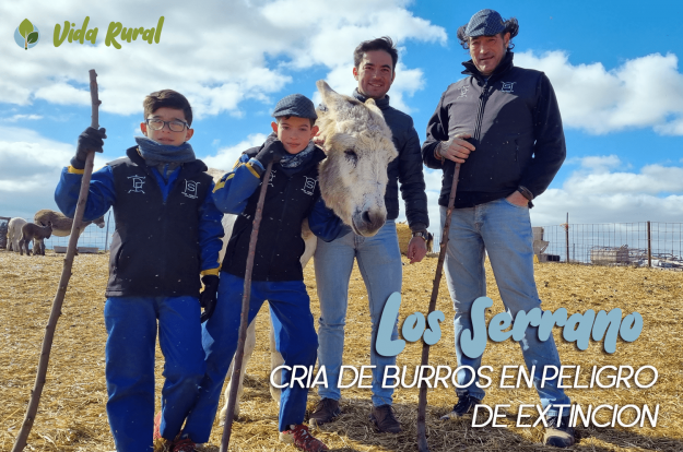 Los serrano cria de burros en peligro de extincion