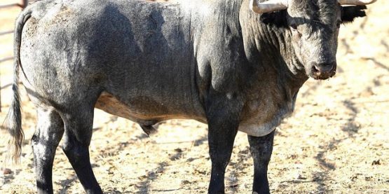 371961224_848827033474621_1859362306880155948_n